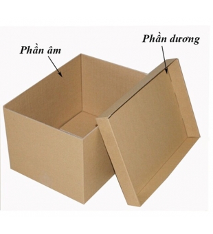 Hộp carton âm dương