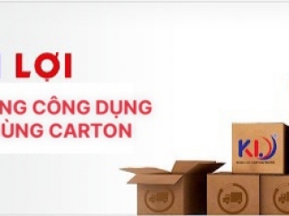 CHỨC NĂNG CÔNG DỤNG CỦA THÙNG CARTON